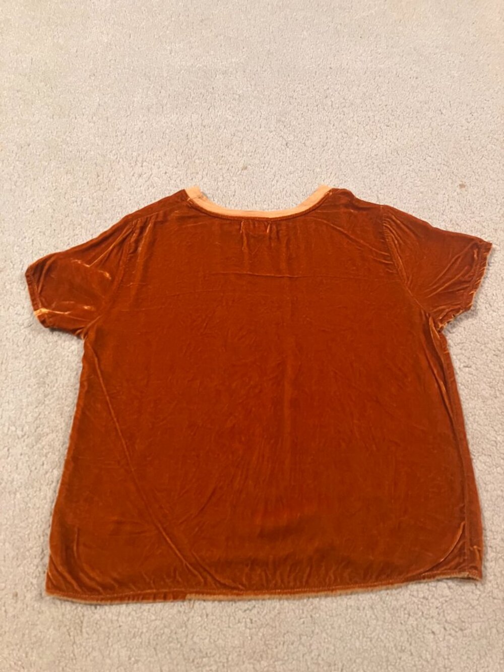 NATION LTD crushed velvet tee (S) - Picture 3 of 5